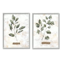 Stupell Country Herbs bosiljak peršin grančice botaničke i cvjetne slike siva uokvirena umjetnička print zidna