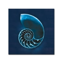 Zaštitni znak likovna umjetnost 'Cyanotip Sea II' platno umjetnost Sue Schlabach