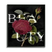Stupell Industries Beauty Text Over Vintage Crvena ruža ruža crna uokvirena, 14, dizajn Daphne Polselli